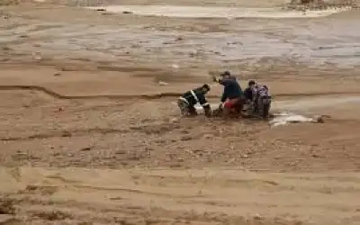 تنقلات في الامن العام