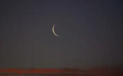 هل يحتاج التحديث السياسي إلى مراجعة؟