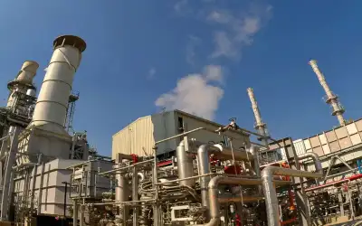 قشور بذور الأفوكادو منجم ذهب لعلاج