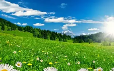 الاحتلال يعتقل 5 فلسطينيين من الخليل