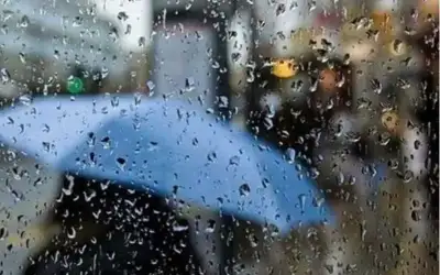 غموض يكتنف الوجهة المقبلة لصالح راتب