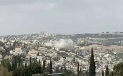 اطعمة تعتبر سر قوة جهاز المناعة