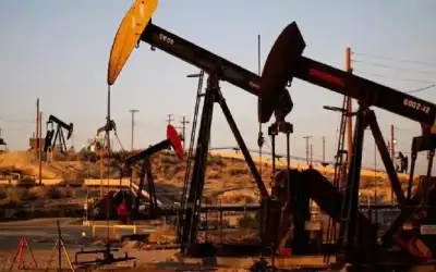 فضيحة مائدة الافطار ـ بقلم: آيات