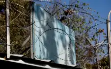 المفوض العام للأونروا: استمرارية الوكالة باتت