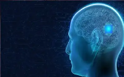 انتخاب رؤساء لجان الاخوة والصداقة البرلمانية