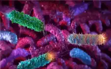 علماء صينيون يحولون بكتيريا قولونية لسلاح