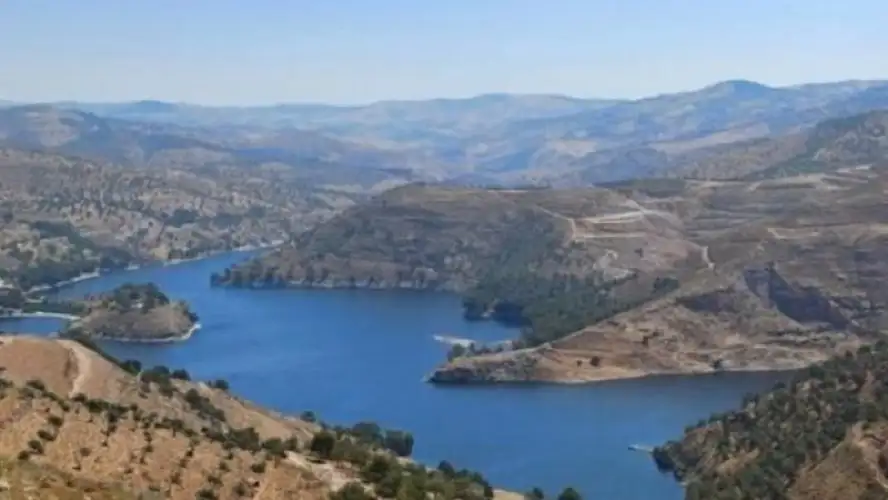 لأول مرة منذ سنوات.. بدء تفييض