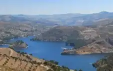 لأول مرة منذ سنوات.. بدء تفييض