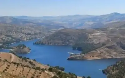 هذه هي «حالة البلاد» ـ بقلم: