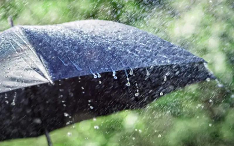 أمطار الاعتدال الربيعي تعزز الموسم المطري