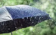 أمطار الاعتدال الربيstrongعيstrong تعزز الموسم المطري