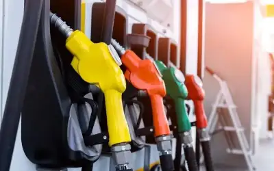 أوجه العبث ـ بقلم: أسعد العزوني