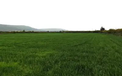 في مكالمة مع ترامب قبيل الحرب