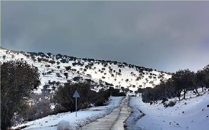 ثلوج فوق مرتفعات الجنوب الخميس