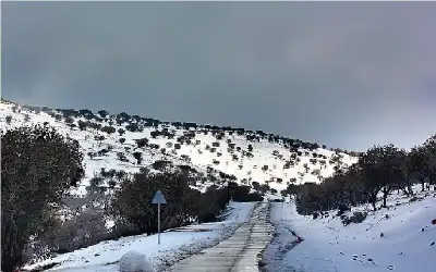 مجتمع ـ ثلوج فوق مرتفعات الجنوب الخميس