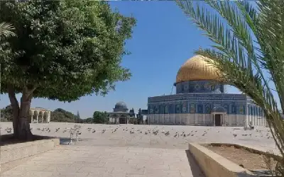 الاحتلال يعتقل 15 فلسطينيا من المغير