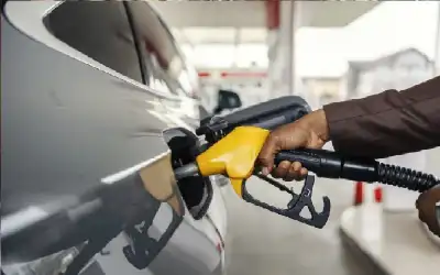 أول مكافأة للاعبي منتخب مصر حال