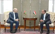 الصفدي ونظيره المصري يؤكدان دعم قرار