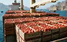 الظهراوي: هل تمر اstrongلبstrongندورة من هرمز؟