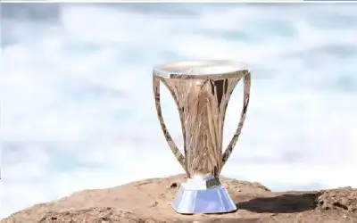 الصفدي: ضرورة تفريغ دور النائب للرقابة