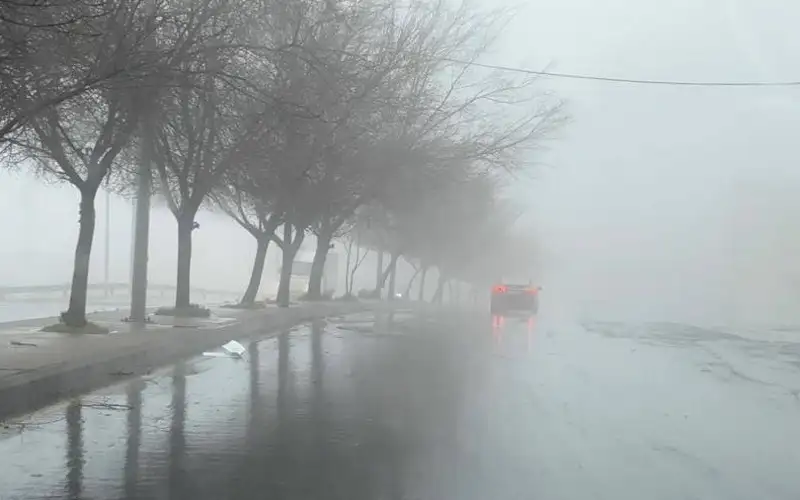 تعطيل دوام مدارس البادية الجنوبية الخميس