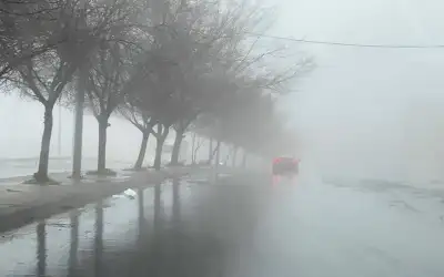 مصر تتفاعل مع وسم (هتعيشمبسوطلما)