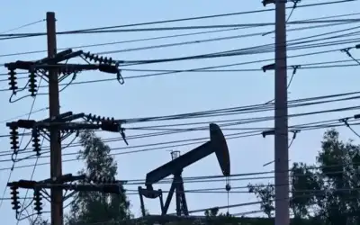 عمان الأهلية تشارك في الشارقة ببرنامج