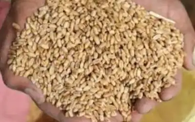 انطلاق بطولة عمان الدولية للتنس