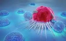 بحجم الهاتف وأرخص 50% .. حل