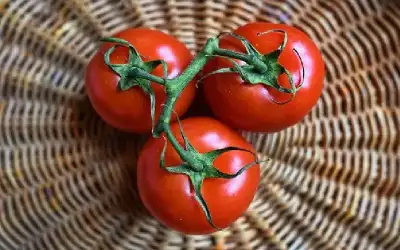 وسائل إعلام عبرية: نتنياهو وغانتس اتفقا