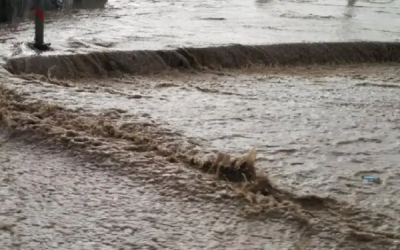 بلديات إربد ترفع جاهزيتها للقصوى للتعامل