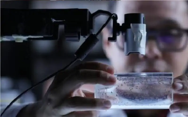 دراسة جديدة تكشف عن تأثير مفاجئ