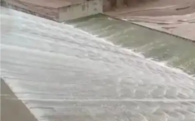 في ذكرى مولد سيد المرسلين سيدنا