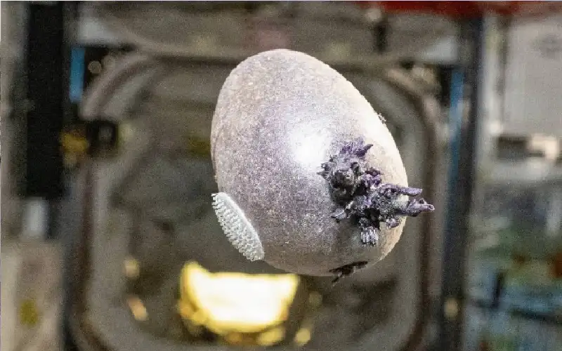 رائد فضاء يكتشف وحشا فضائيا …