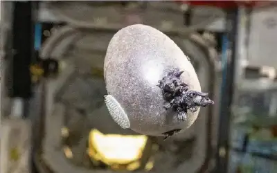 مكافحة الأوبئة: دورة تدريبية مجانية حول