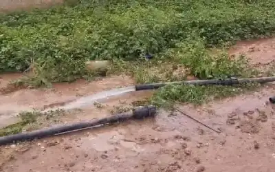 تتقدم نقابة الصحفيين الأردنيين بأصدق مشاعر