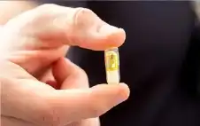 اقتصاد الحبوب الذكية.. سوق واعد يتخطى