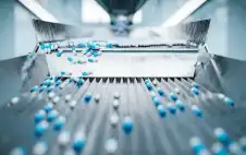 الحكومة تقرر منع تصدير مدخلات إنتاج