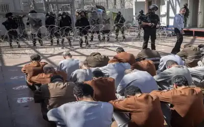 المعايطة: النتائج النهائية للانتخابات بعد إغلاق