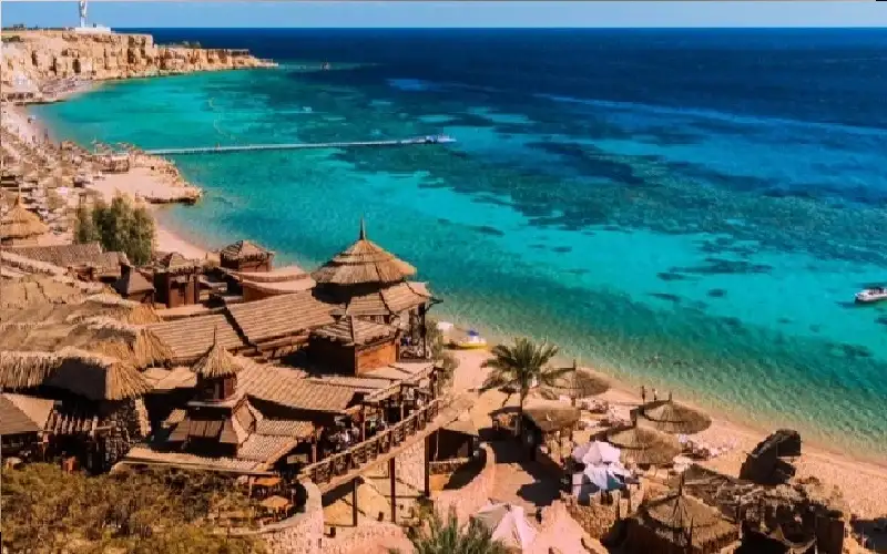 زوجان إيطاليان يتركان أطفالهما الخمسة بمفردهم