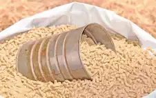 الحكومة: مخزون الدواجن والأعلاف متوفر وسلاسل