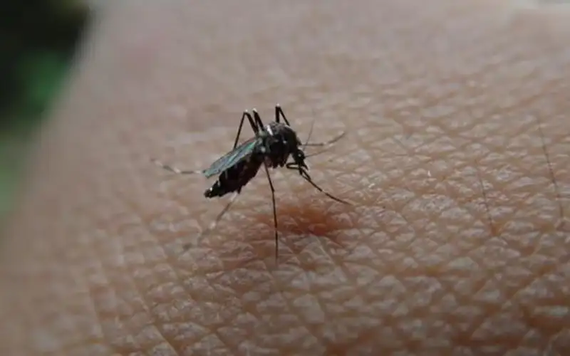 بحث علمي يوضح .. هكذا تجدك