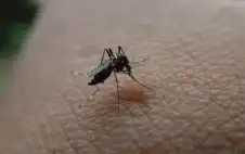 بحث علمي يوضح .. هكذا تجدك