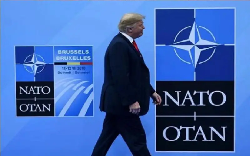 نمر من ورق.. ترامب يدرس بجدية