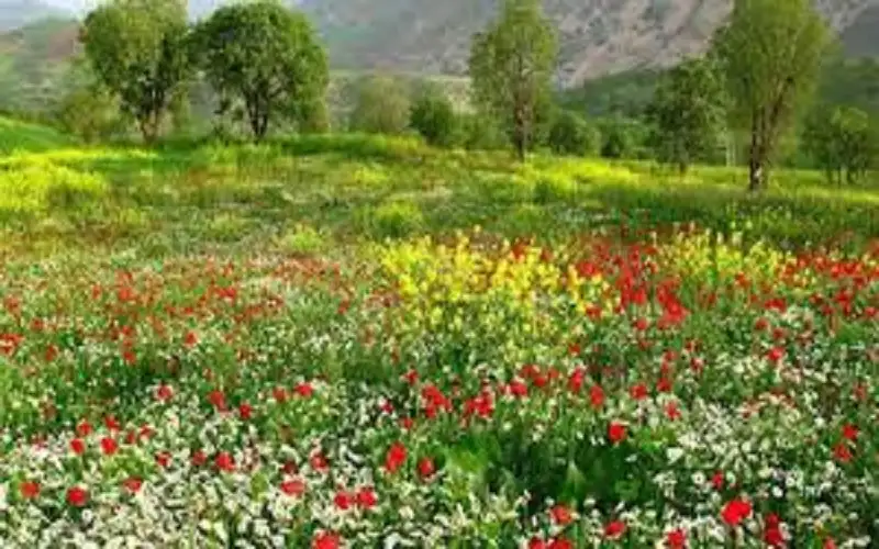 شهر نـيسان ابريل في الموروث الجمعي