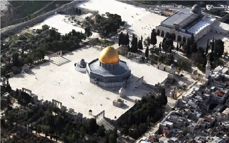 لمن يهمه الامر.. الاحتلال ما زال