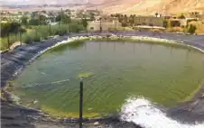 زراعة الأزرق تدعو strongالمزارstrongعين لتسييج البرك