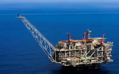 ترامب يدرس إقالة مديرة الاستخبارات بسبب