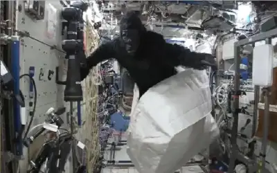 الإضراب يعم الضفة الغربية رفضا لقانون