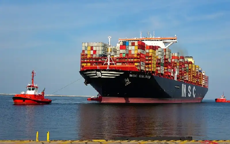 صحيفة نيسان ـ بسبب حرب نتنياهو وترامب.. الفاو تتوقع